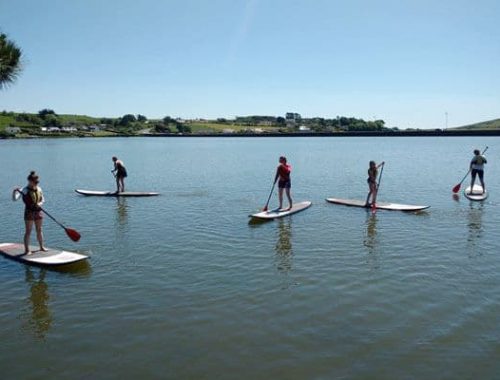 Group of five people enjoying stand up paddle boarding